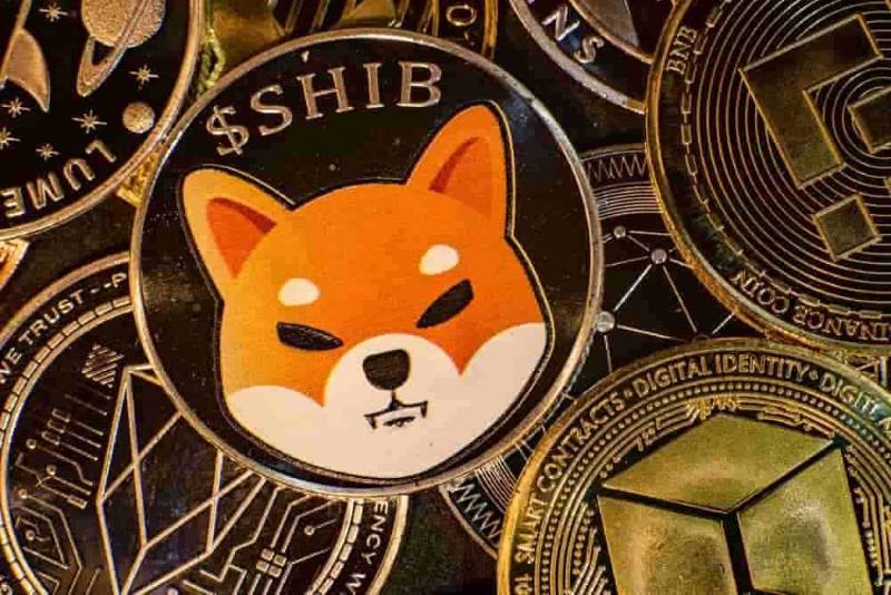 Shibu Inu Coin (SHIB)