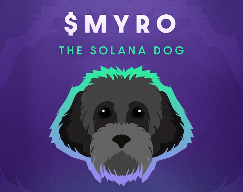 Discover the Top 5 Sol Meme Coins: Why you should get involved on Solana!