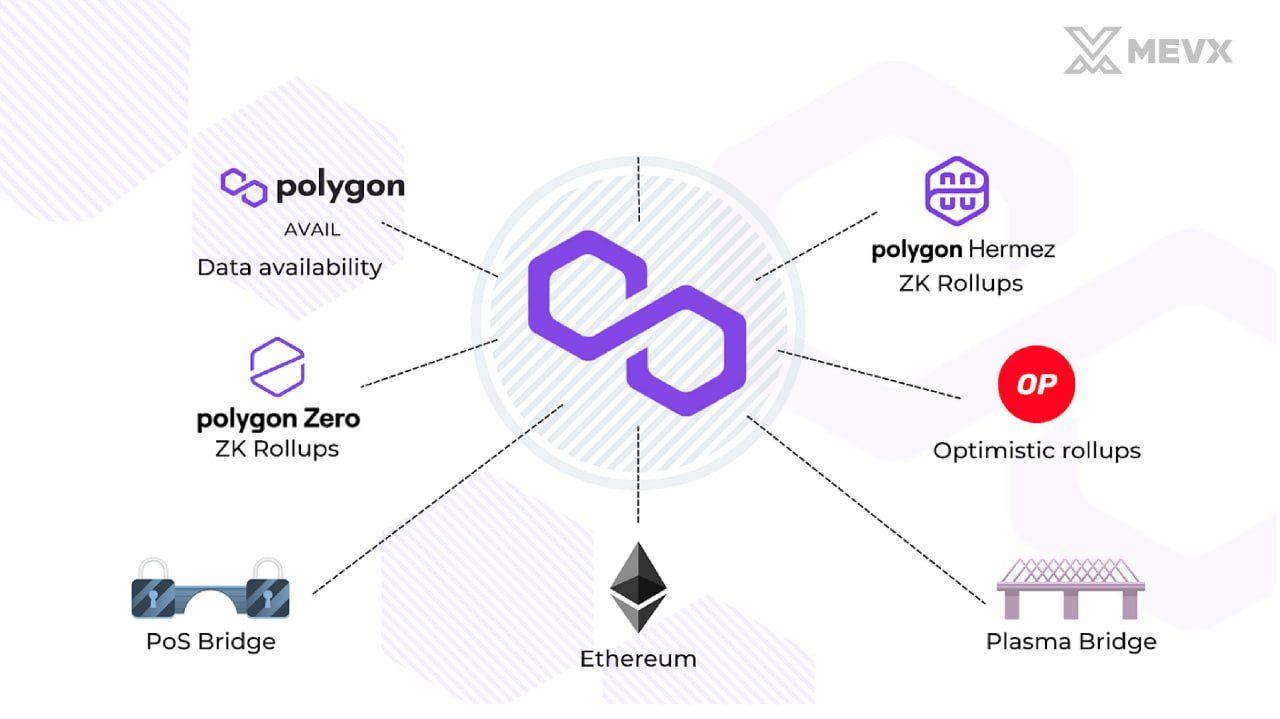 Polygon network