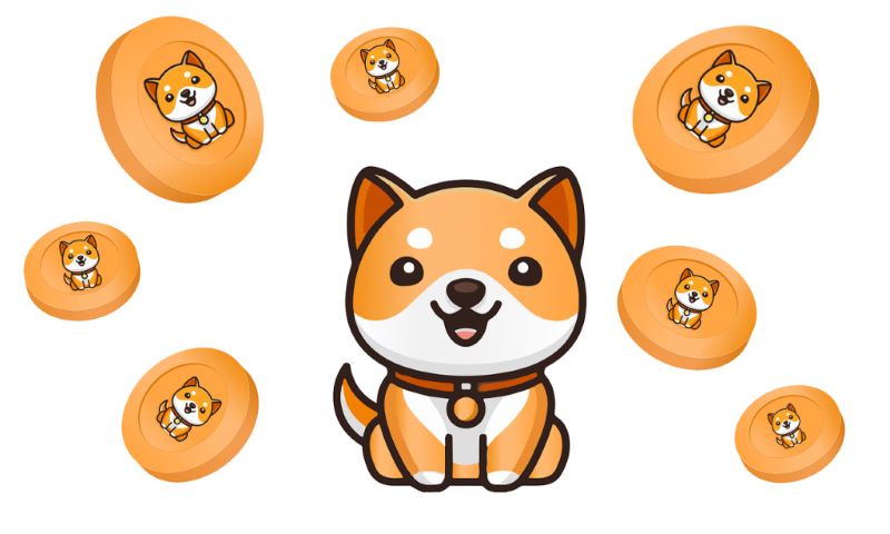 Shiba Inu