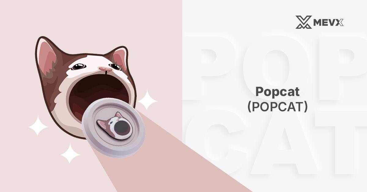 popcat_memecoin