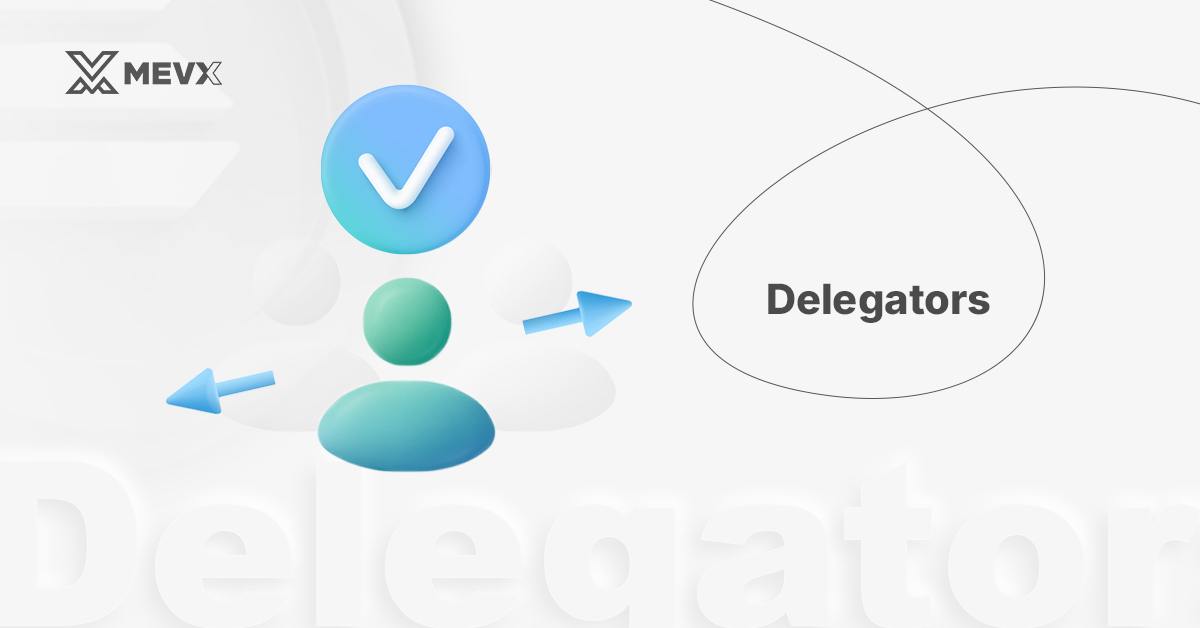 solana_delegators