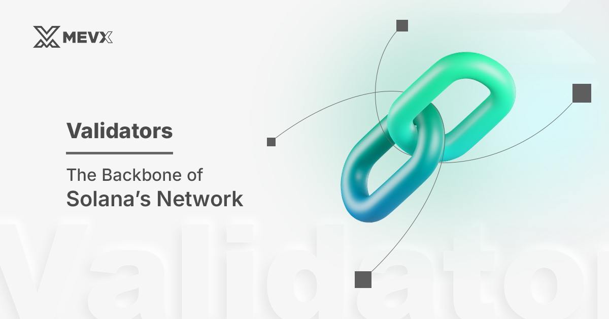 validators_backbone-of_solana_network