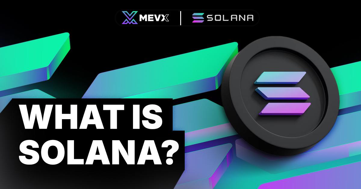 What is Solana? - Blog Mevx