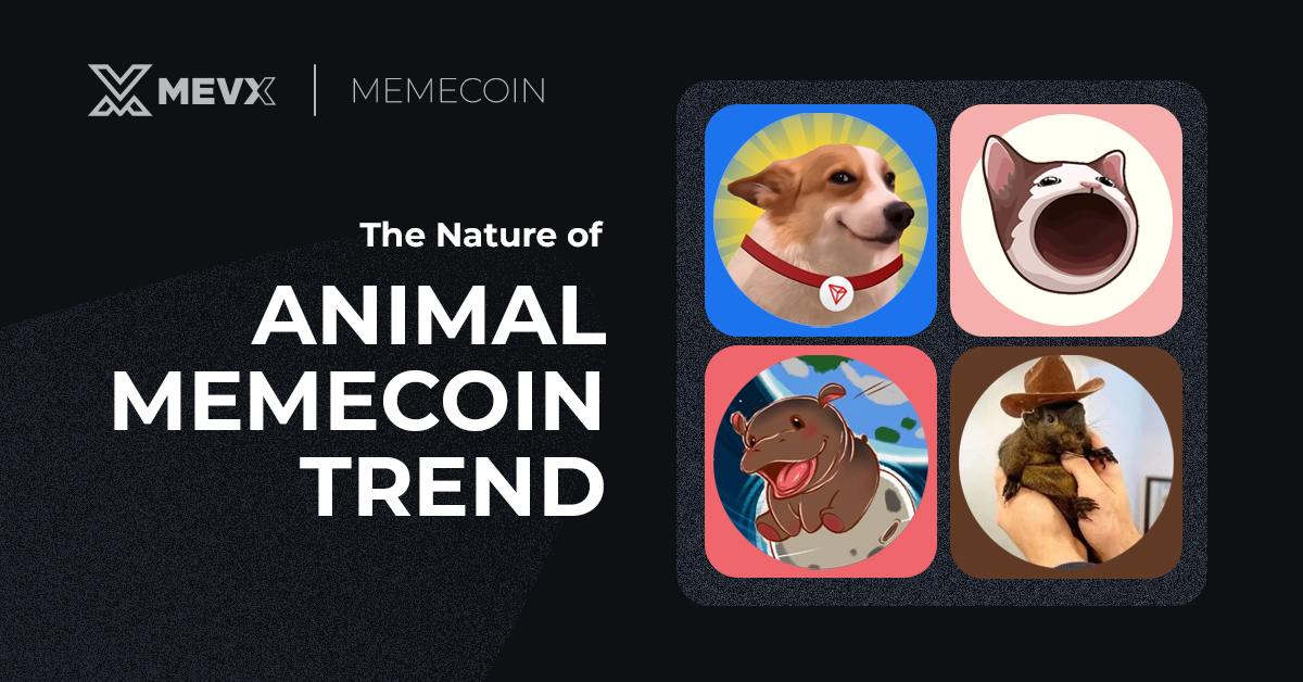 animal_meme_trend_thumb