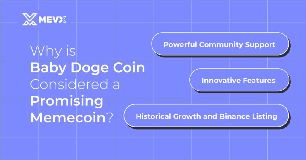 Why BABYDOGE - A promising meme coin