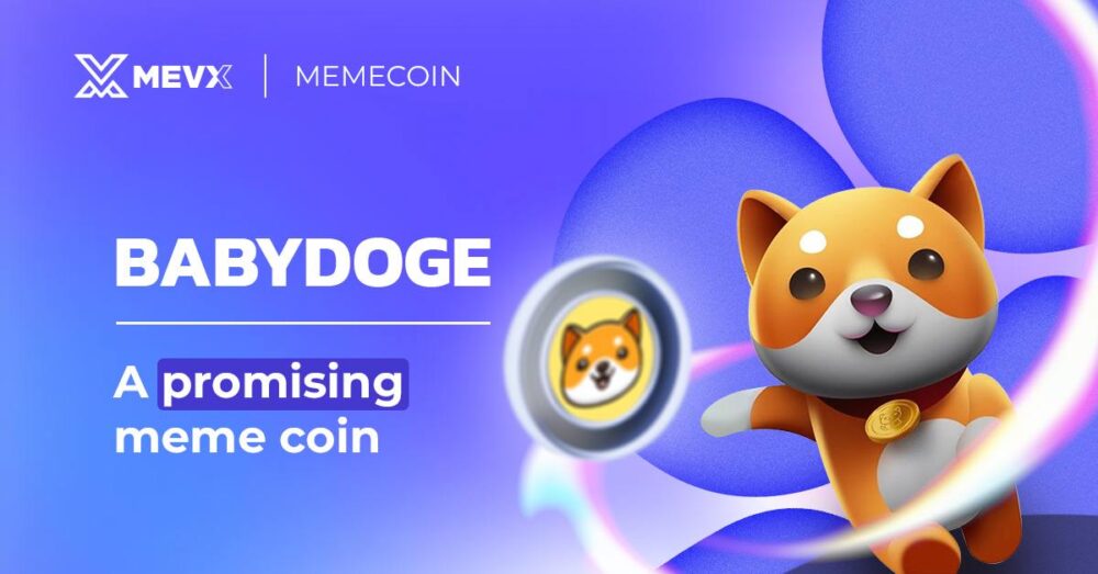 BABYDOGE - A promising meme coin