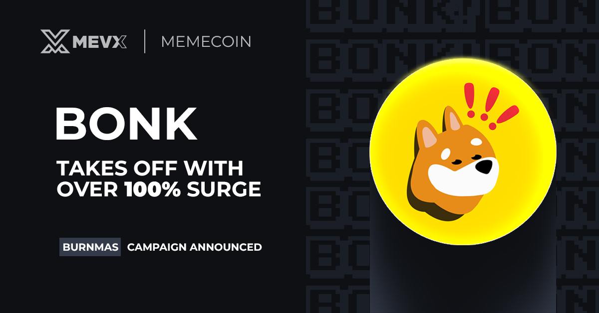 bonk_memecoin_solana