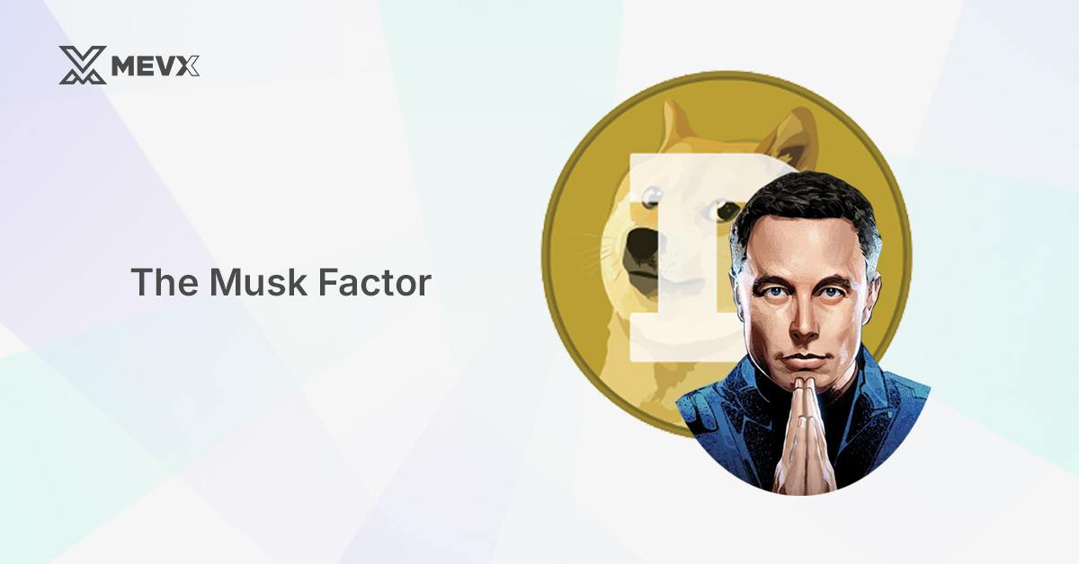 the_musk_factor