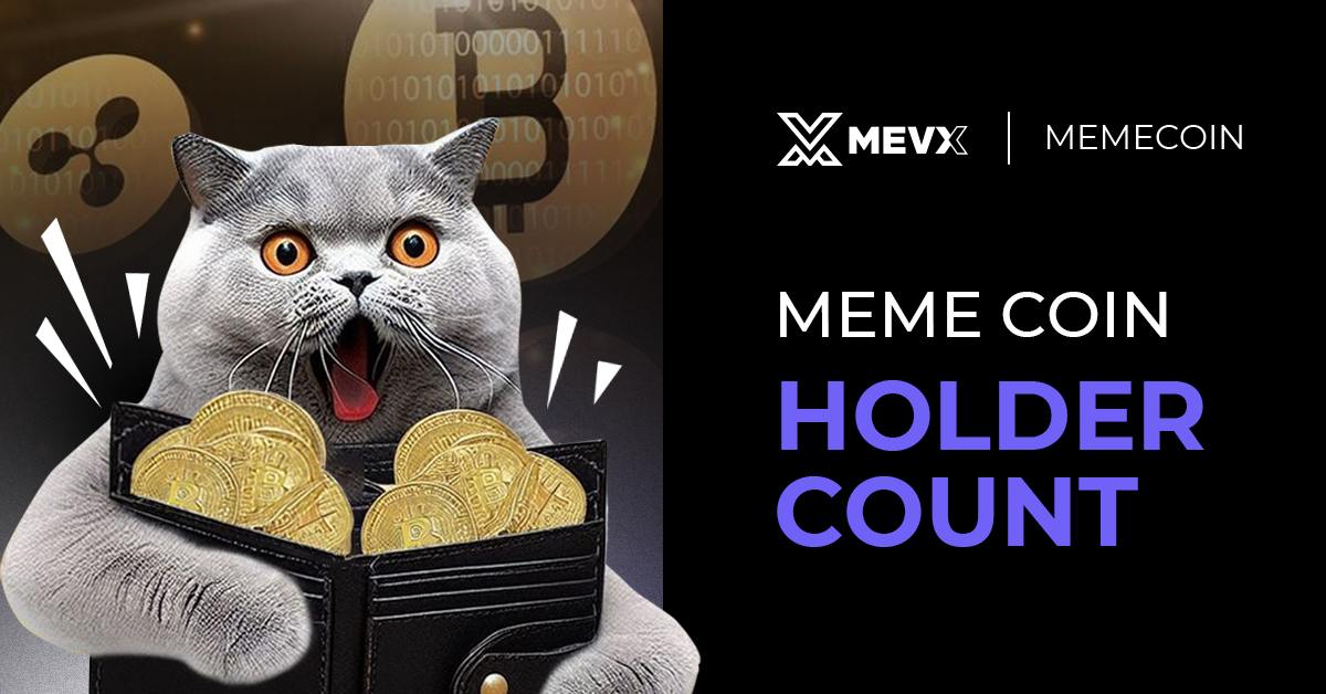 Meme Coin Holder Count