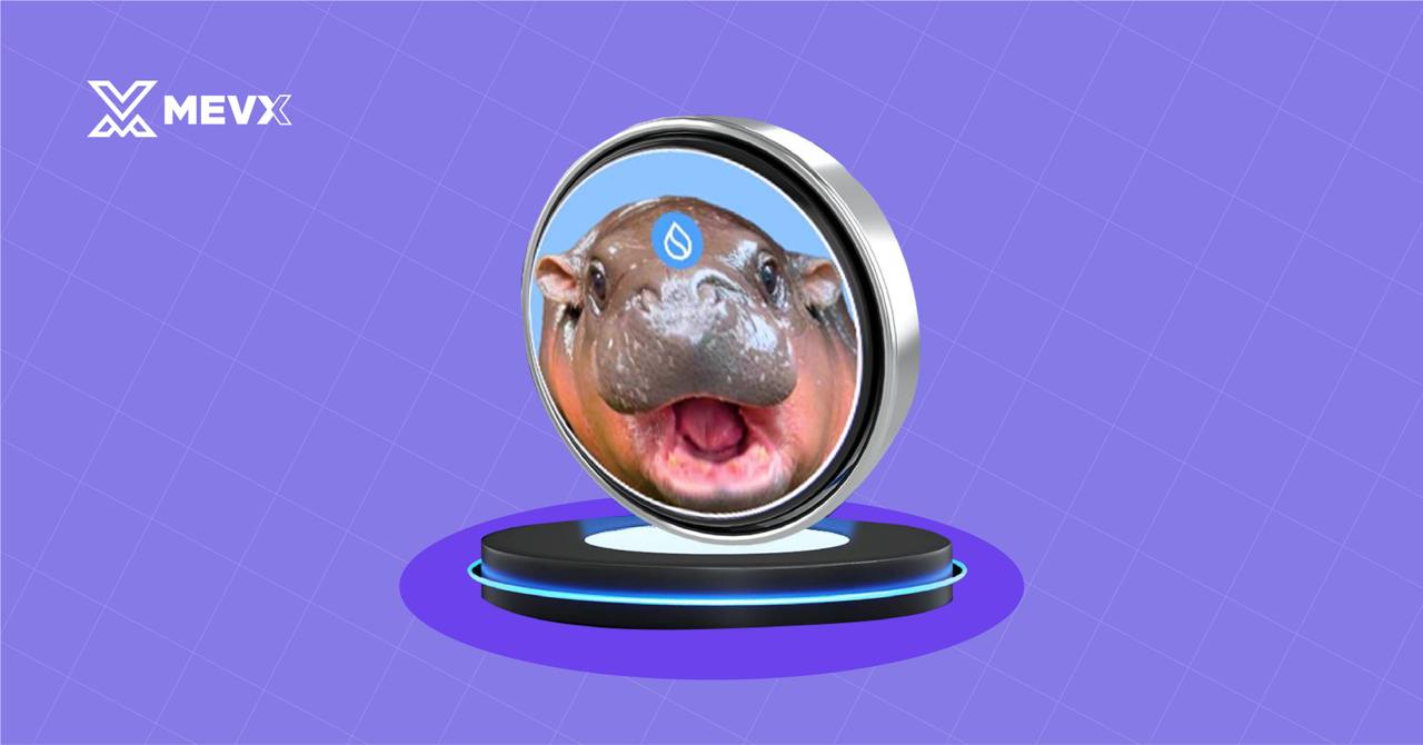 Meme Coin HIPPO