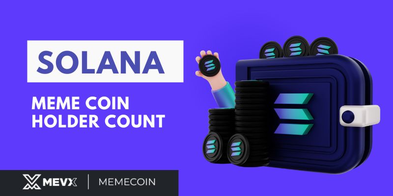 Solana Meme coin Holder Count