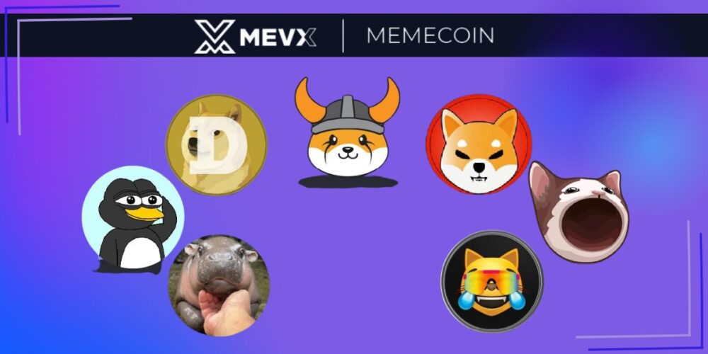 What Influences the Success of a Meme Coin