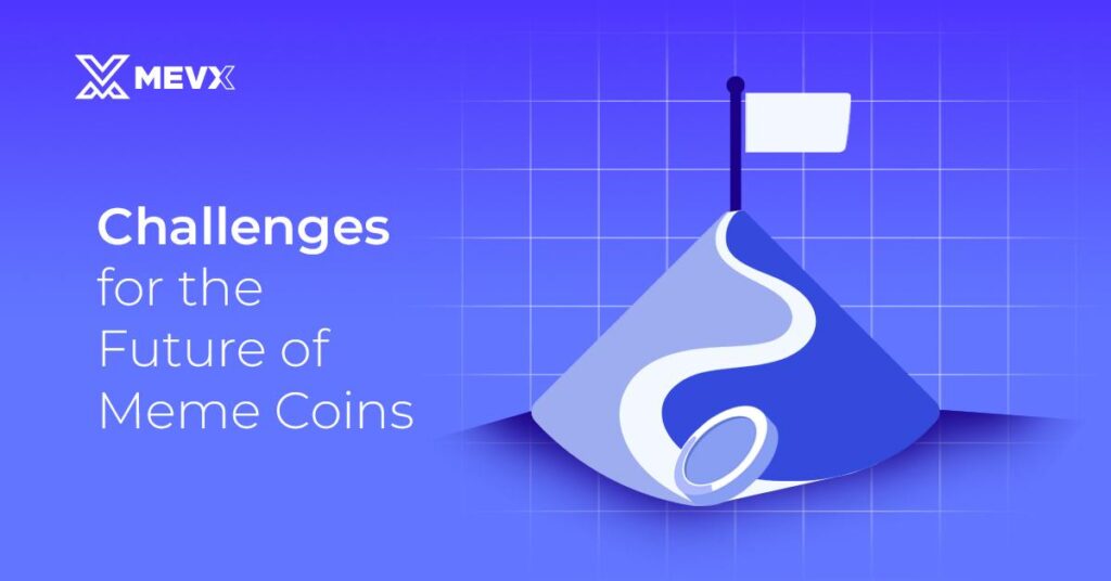 Challenges for The Future of Meme Coins