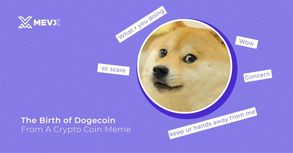 Crypto Coin Meme Doge