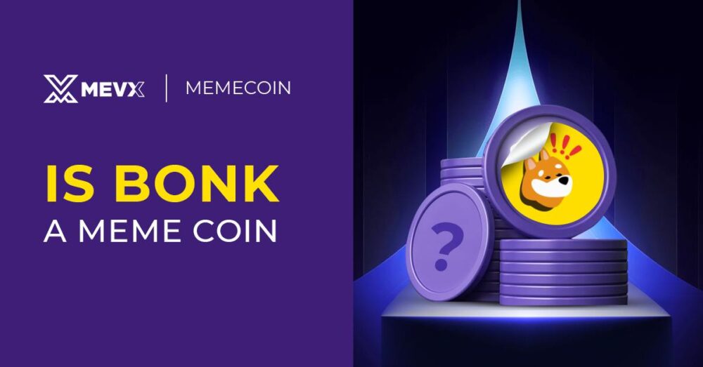 is Bonk a meme coin