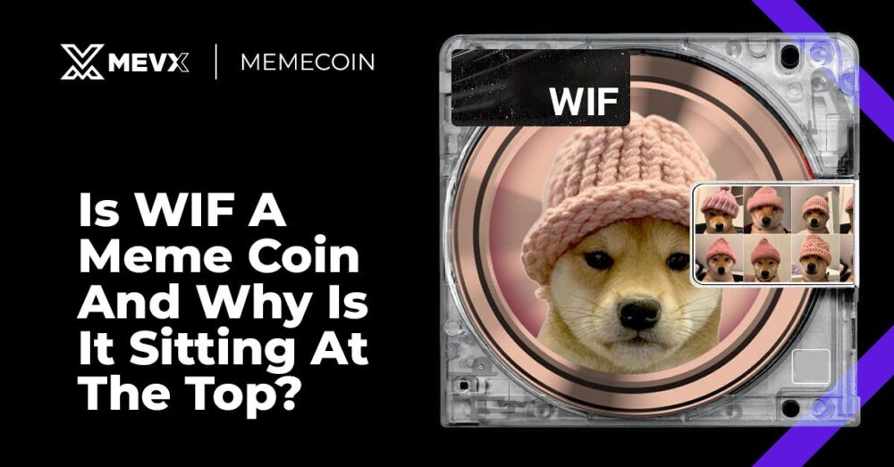 Is WIF A Meme Coin