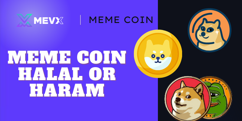 Meme Coin Halal or Haram