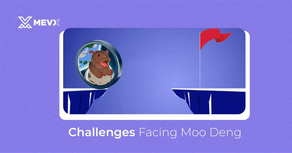 Meme Coin Moo Deng Challenges