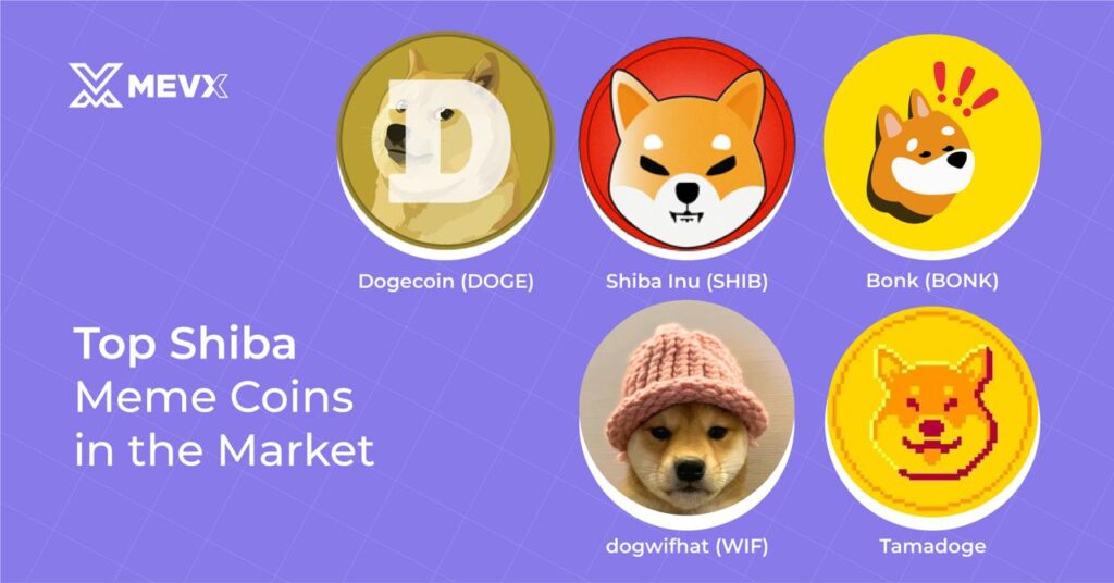 Top Shiba Meme Coins