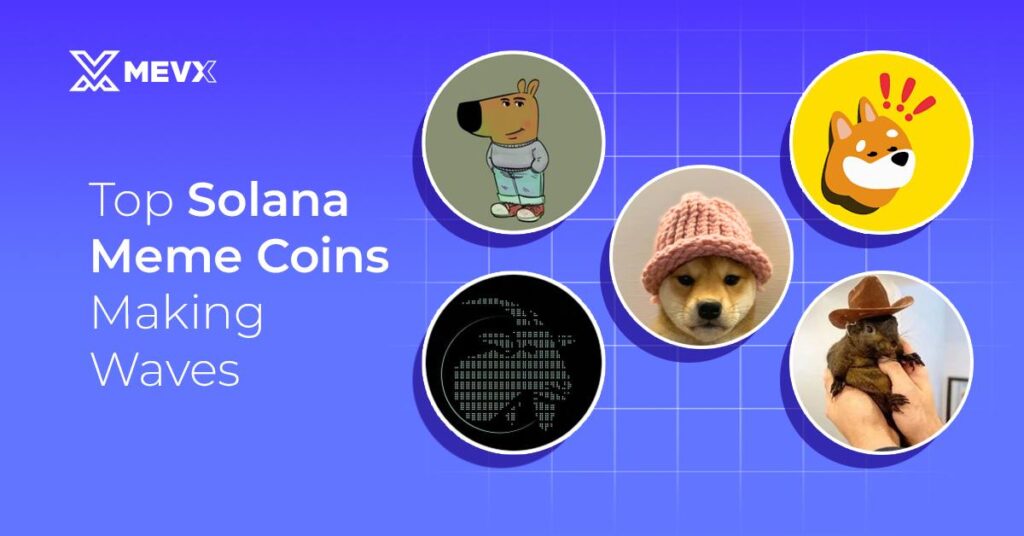 Top Solana Meme Coins Making Waves