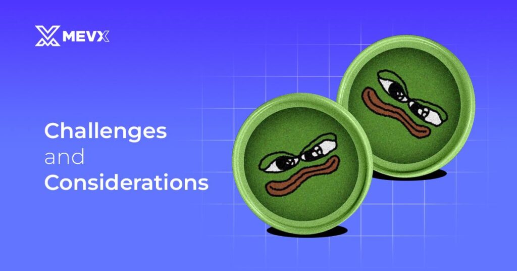 What is Book of Meme Coin? - Challenges and Considerations