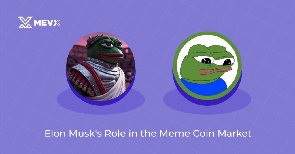 Elon Musk's Role in The Meme Coin Market