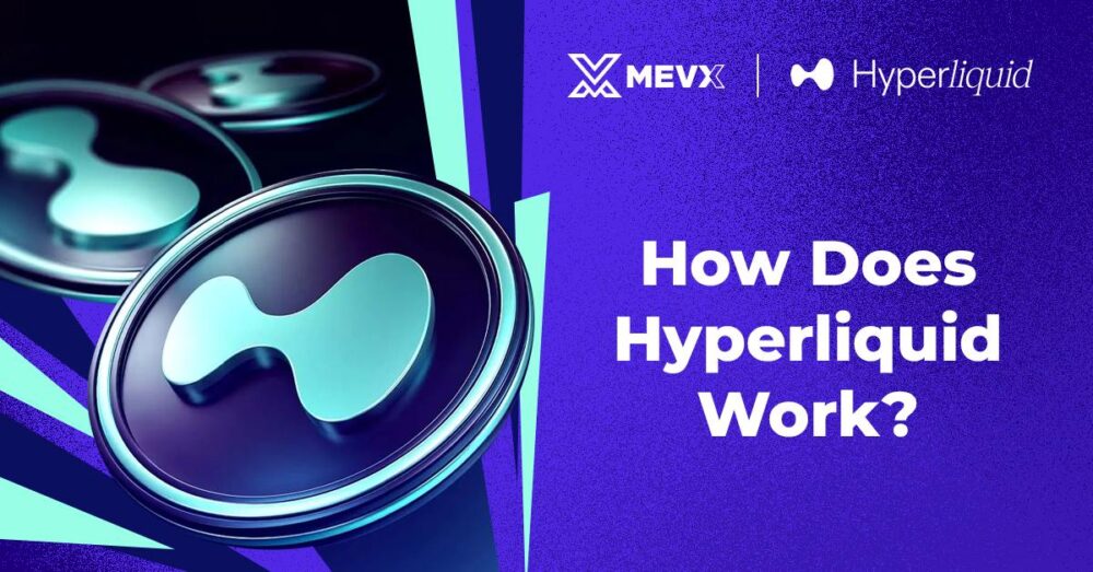 How Does Hyperliquid Work?