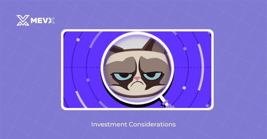 Investment Considerations in Grumpy Cat Coin