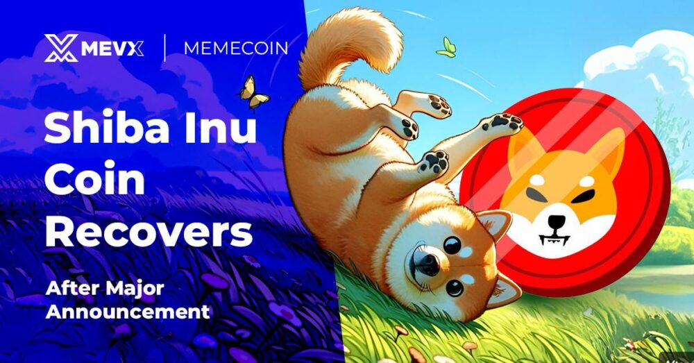 shiba inu coin recovers after major announcement