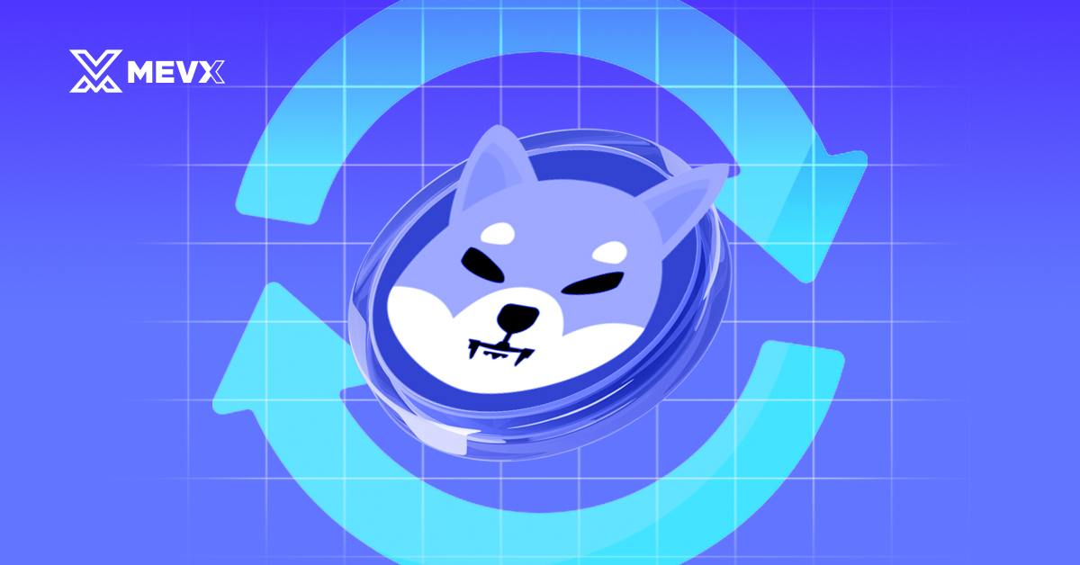 shiba inu coin recovers after major announcement