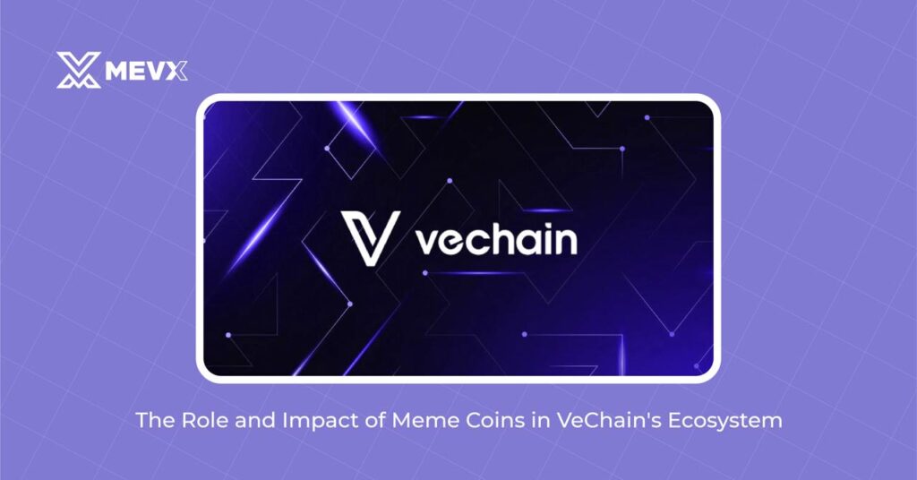 The Role and Impact of Meme Coin