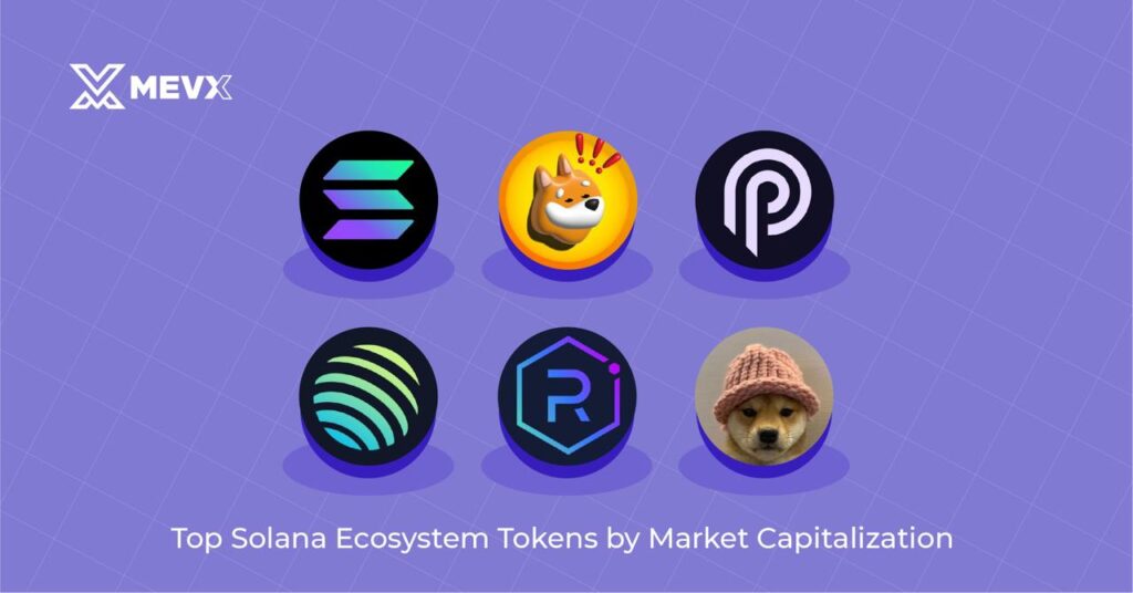 Top Solana Ecosystem tokens by market capitalization