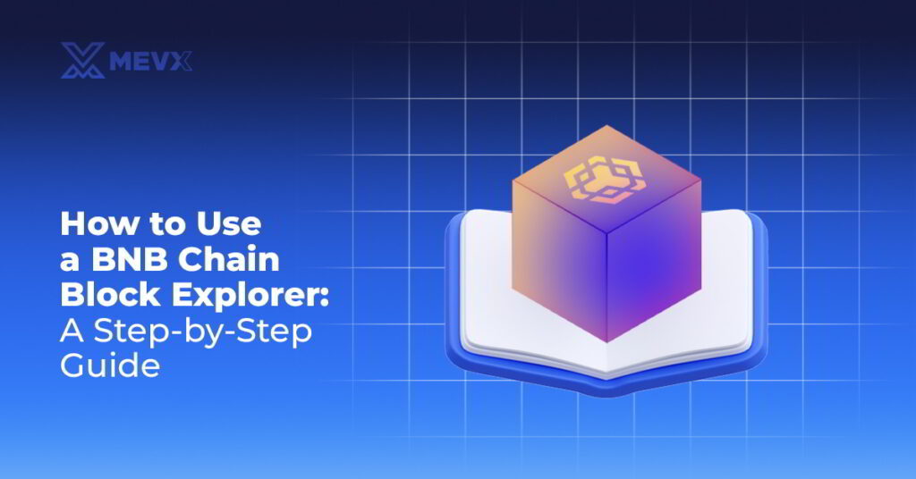 How to Use a BNB Chain Block Explorer