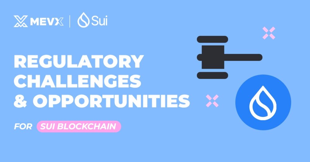 Challenges and Opportunities for Sui Blockchain