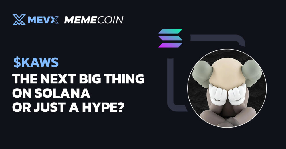 $KAWS meme coin