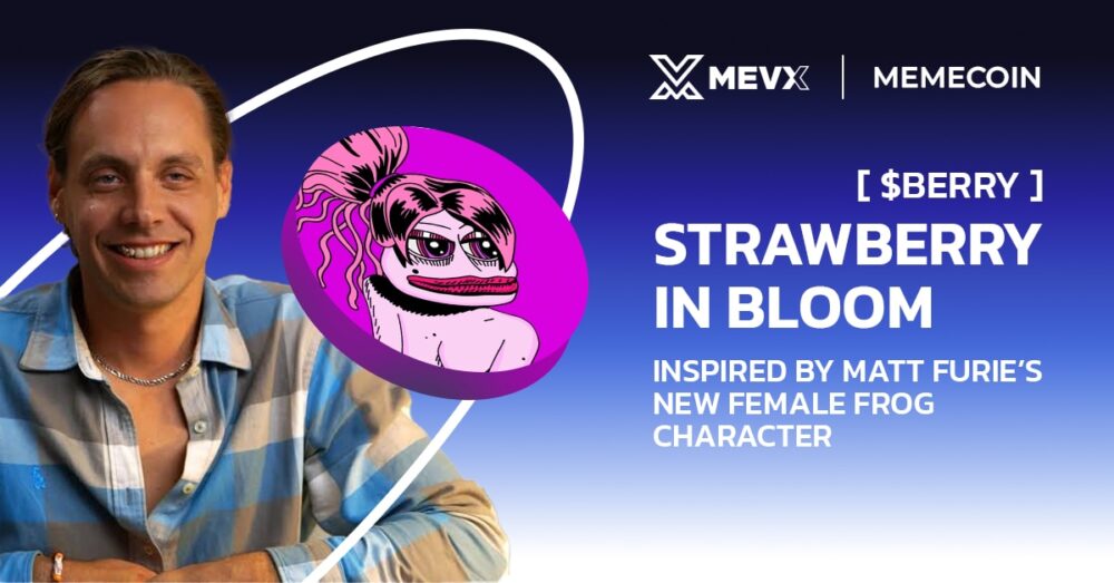 Strawberry In Bloom Meme Coin