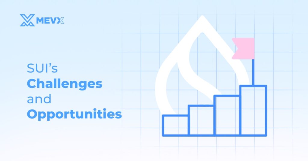 Sui's Challenges and Opportunities