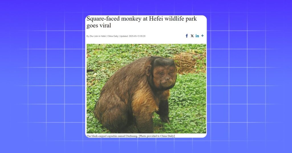 Viral Chinese Monkey