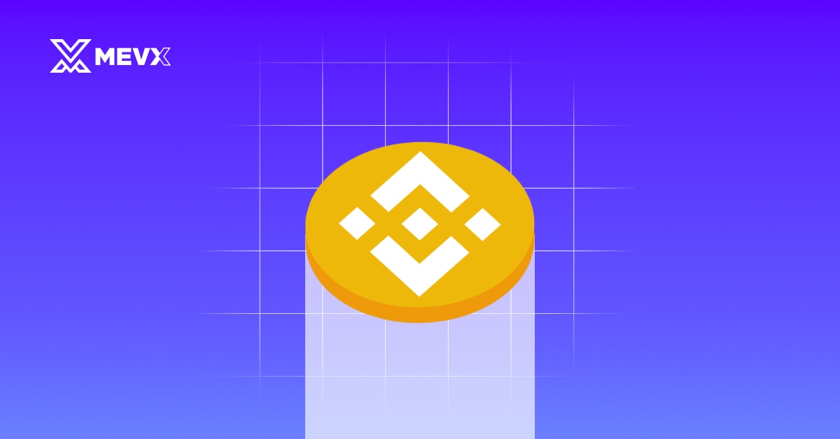 BNB smart chain BEP20