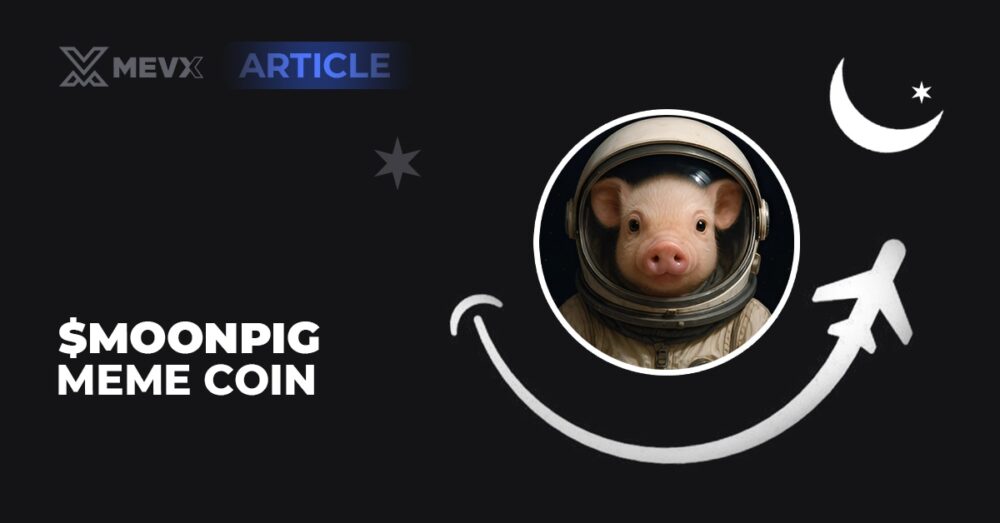 $moonpig meme coin value