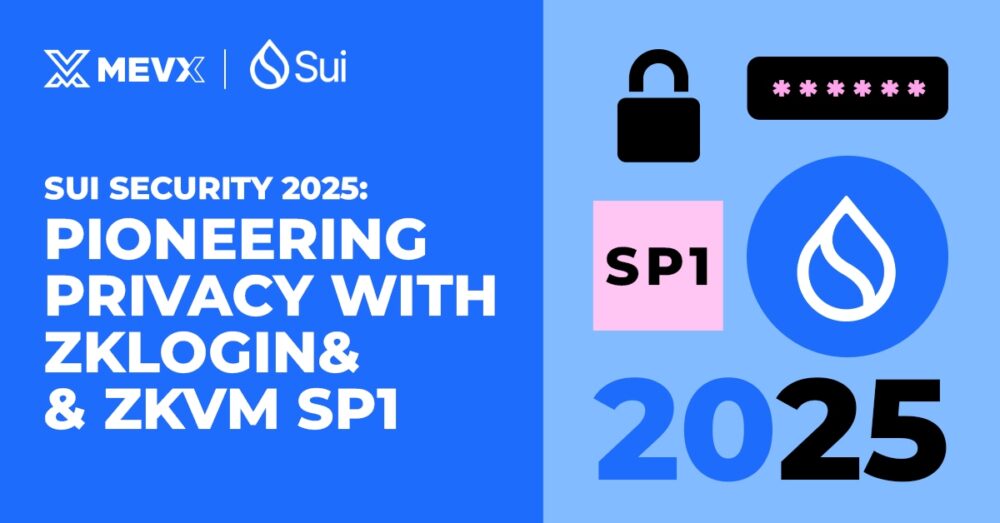 Sui Security 2025