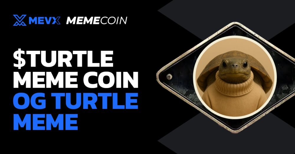 TURTLE NECK meme coin