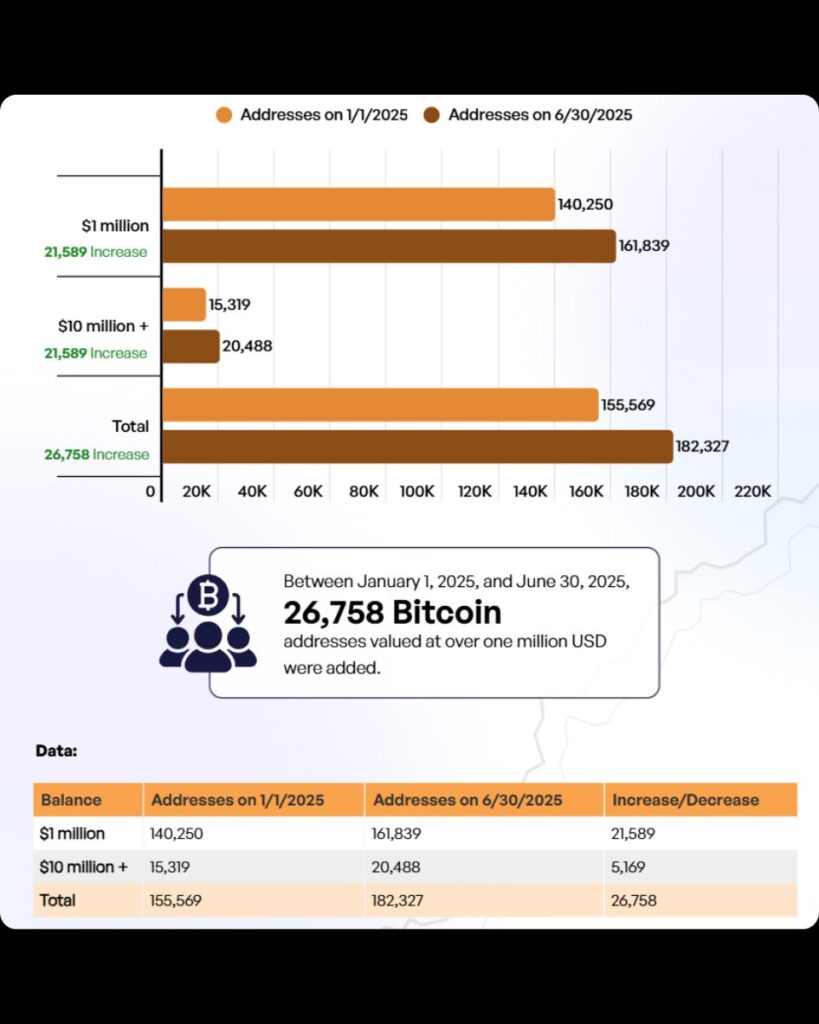 Bitcoin Millionaires H1 2025
