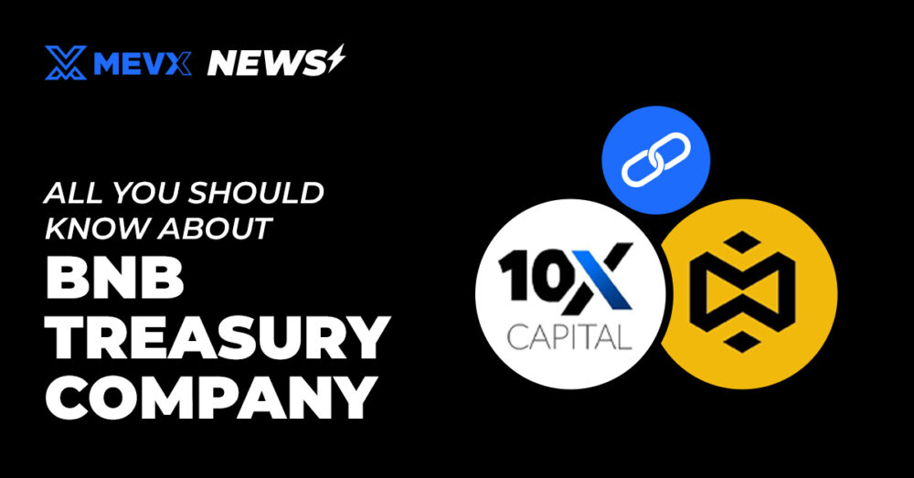 BNB Treasury Company