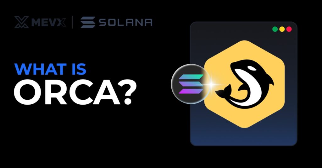 What is Orca? A Beginner’s Guide to Solana’s User-Friendly AMM 4 What Is Orca