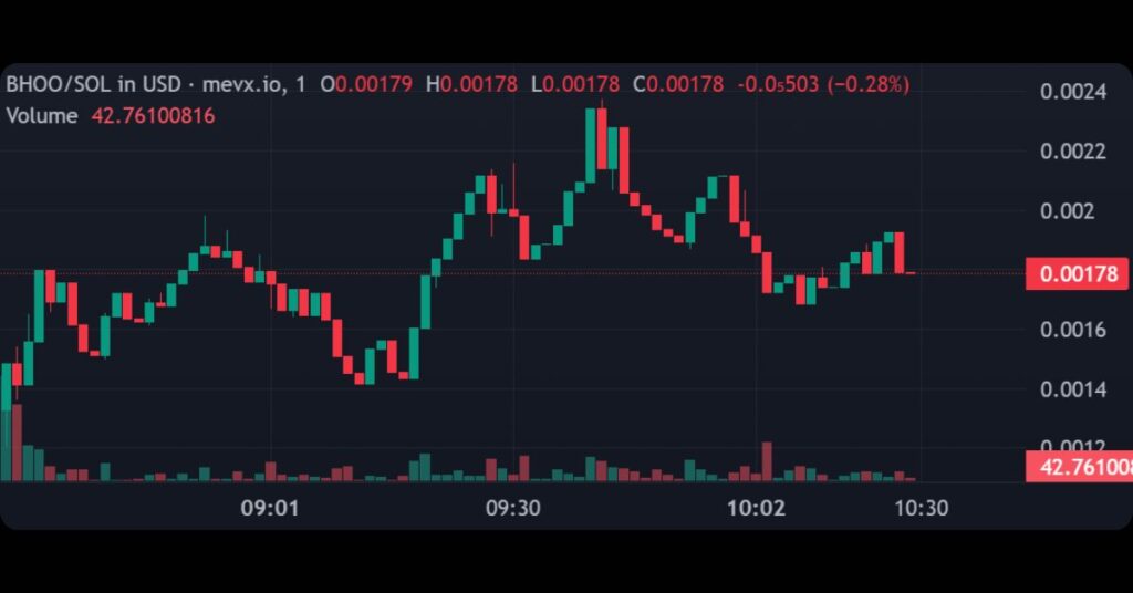 Unveiling the Top 7 New Meme Coins on Solana Today 11 $BHOO (BHOO THE SPEEWIT)