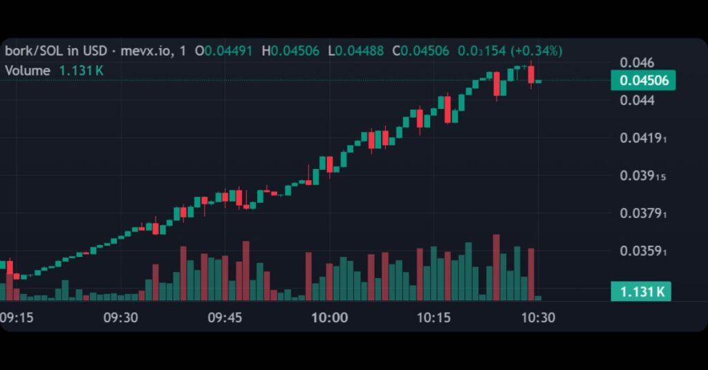 $bork (Binance Grok)