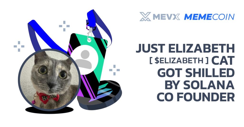 Just Elizabeth Cat ($ELIZABETH) Got Shilled By Solana Co Founder