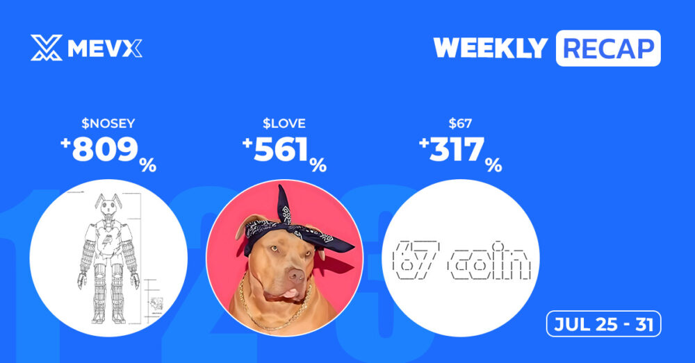 Meme Coin Weekly Recap: August 25 – 31, 2025